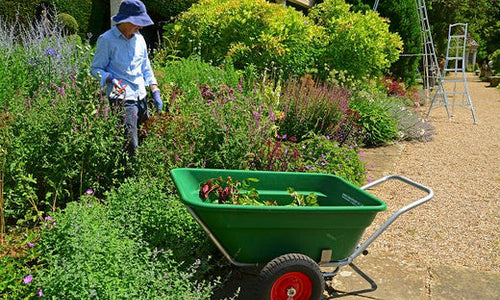 Loaded wheelbarrow alongside a garden border