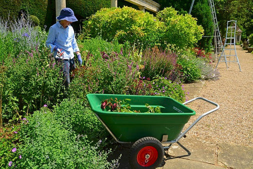 Loaded wheelbarrow alongside a garden border