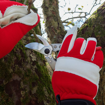 Pruning Secateurs