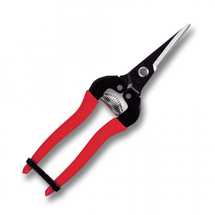 Pointed Fruit Pruner 