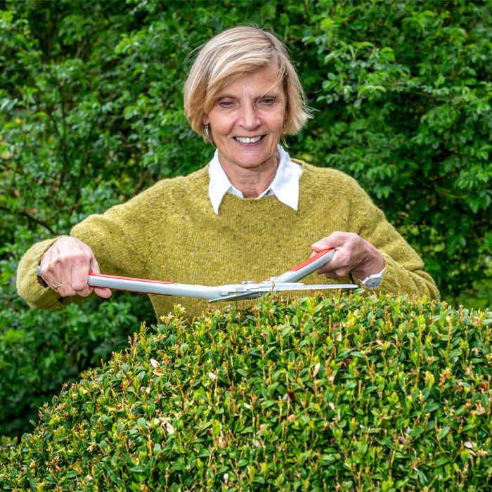 Hedge cutting using ARS Hedge Shears