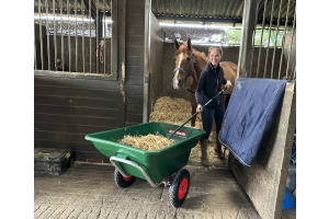 Stable hand using Henchman wheelbarrow