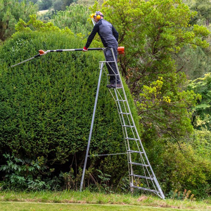 Professional 12ft / 3.6m Tripod Platform Ladder