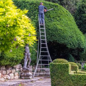 Confidence to use the tools you need when working at height. 