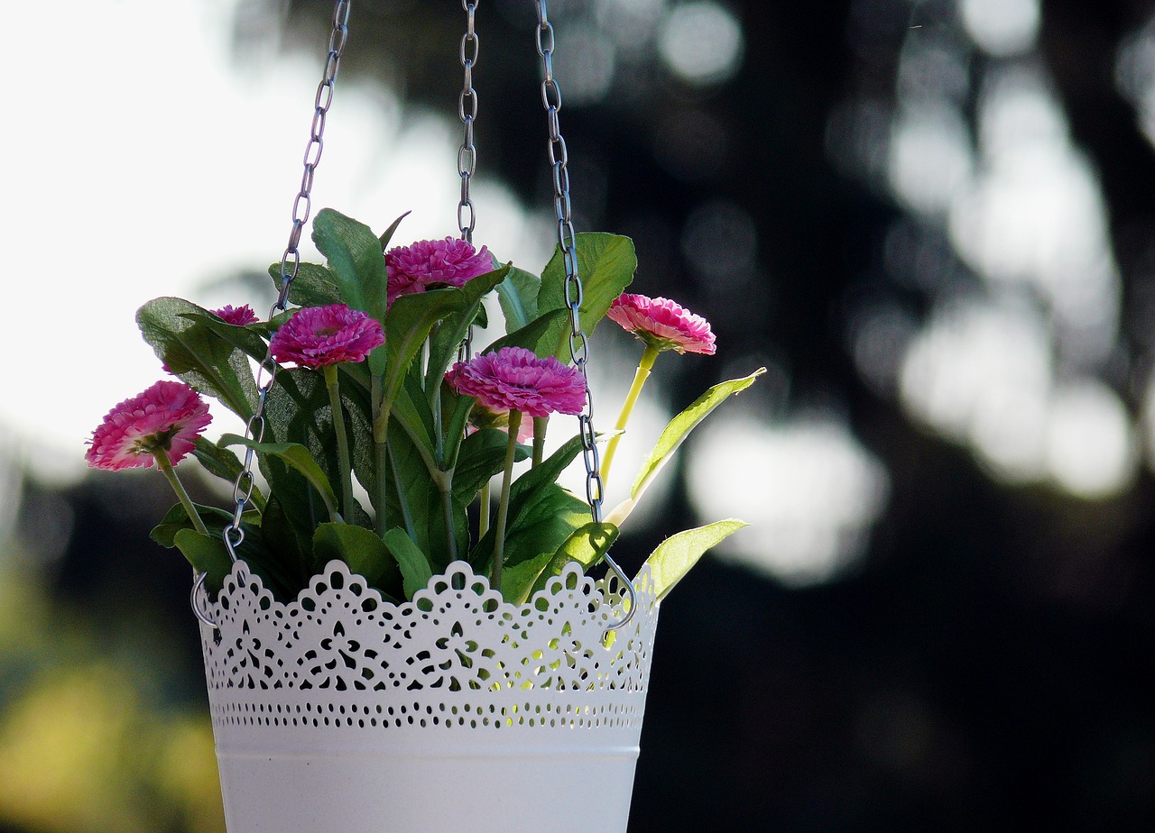 Guide to Summer Hanging Baskets