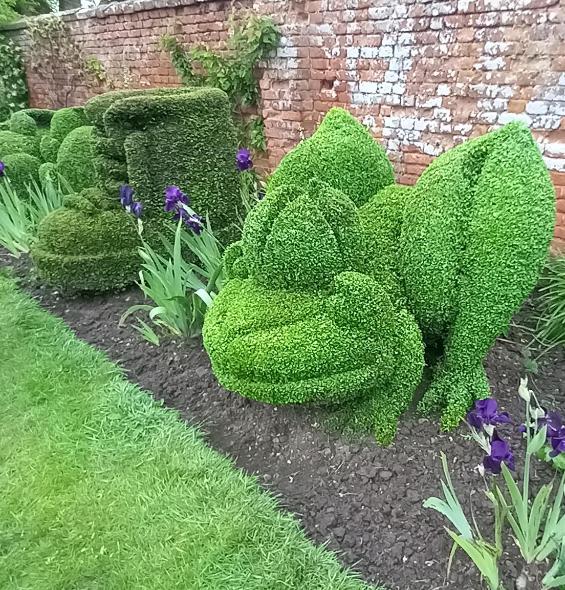 Topiary frog by Chris Reeve