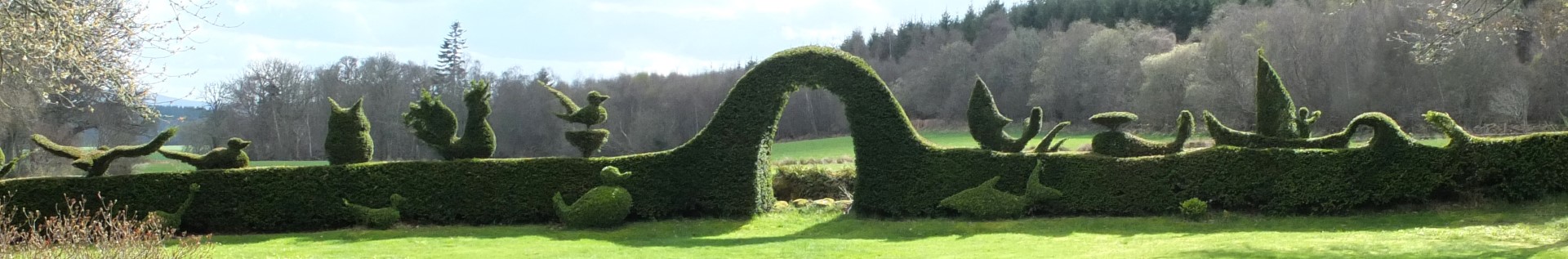 Moby Dick Topiary by David