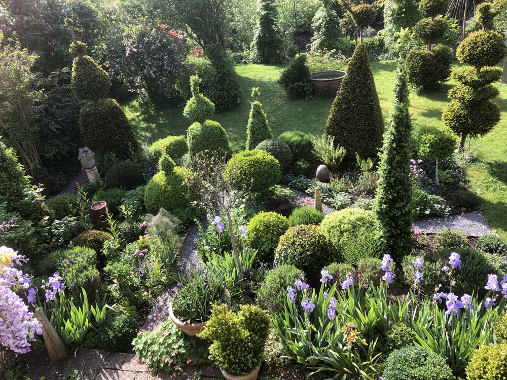 Hugh Johnson's topiary garden