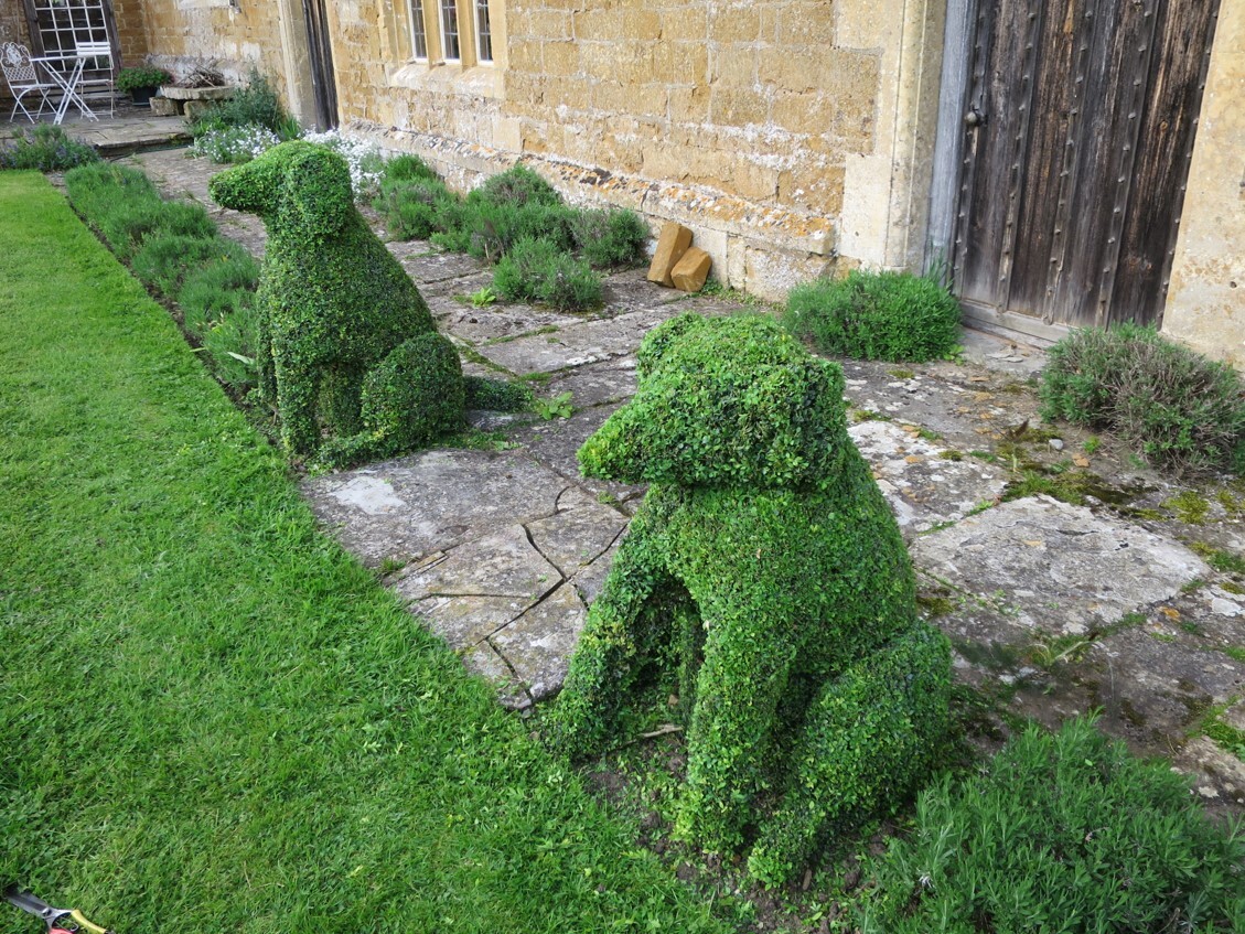 Dog-shaped topiary by Simon